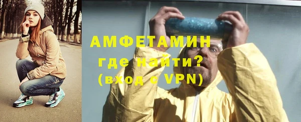 сатива Иннополис