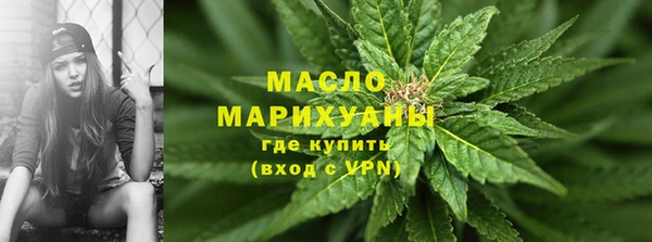 мдпв Инсар
