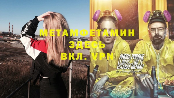 мдпв Инсар