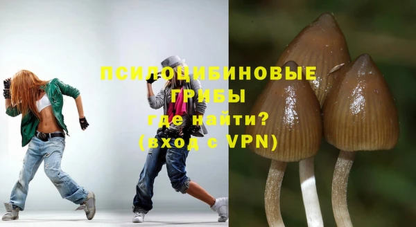 сатива Иннополис