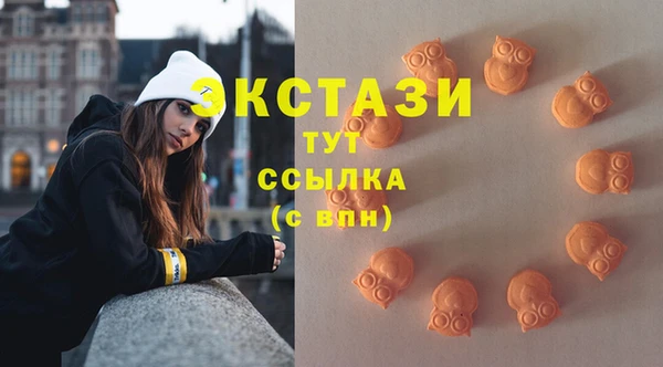 сатива Иннополис