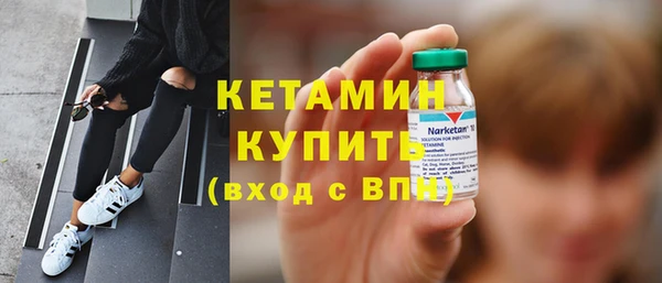 сатива Иннополис