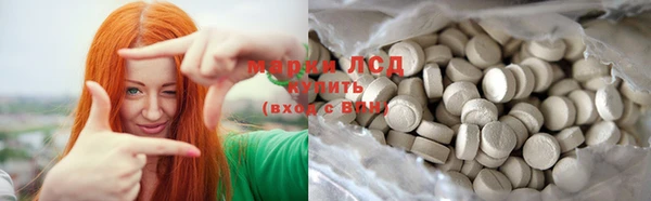 мдпв Инсар