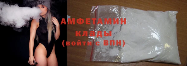 мдпв Инсар
