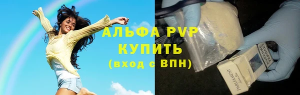 мдпв Инсар