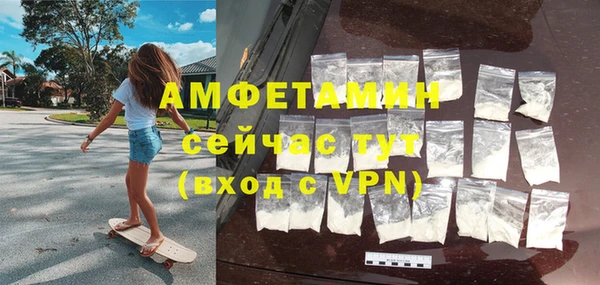 мдпв Инсар