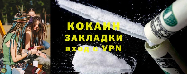 сатива Иннополис