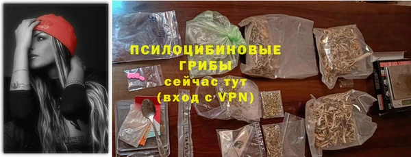 мдпв Инсар