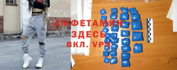 мдпв Инсар