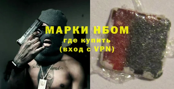 мдпв Инсар
