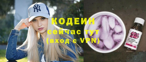 мдпв Инсар