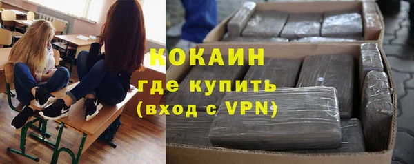 мдпв Инсар