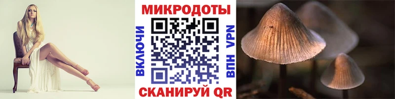 Галлюциногенные грибы Cubensis  Пушкино 